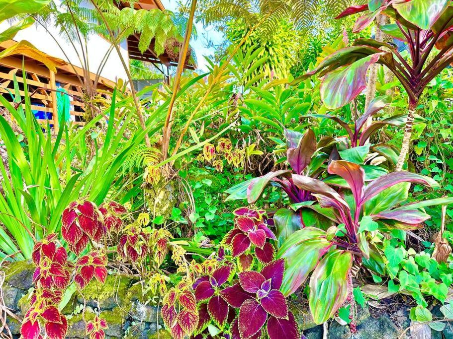 Puna Zen Botanical Garden Retreat Keaau Esterno foto